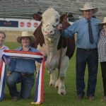 Oakey Creek top bull en route to Western Australia