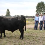 Coffin Creek Angus sold to $40,000.