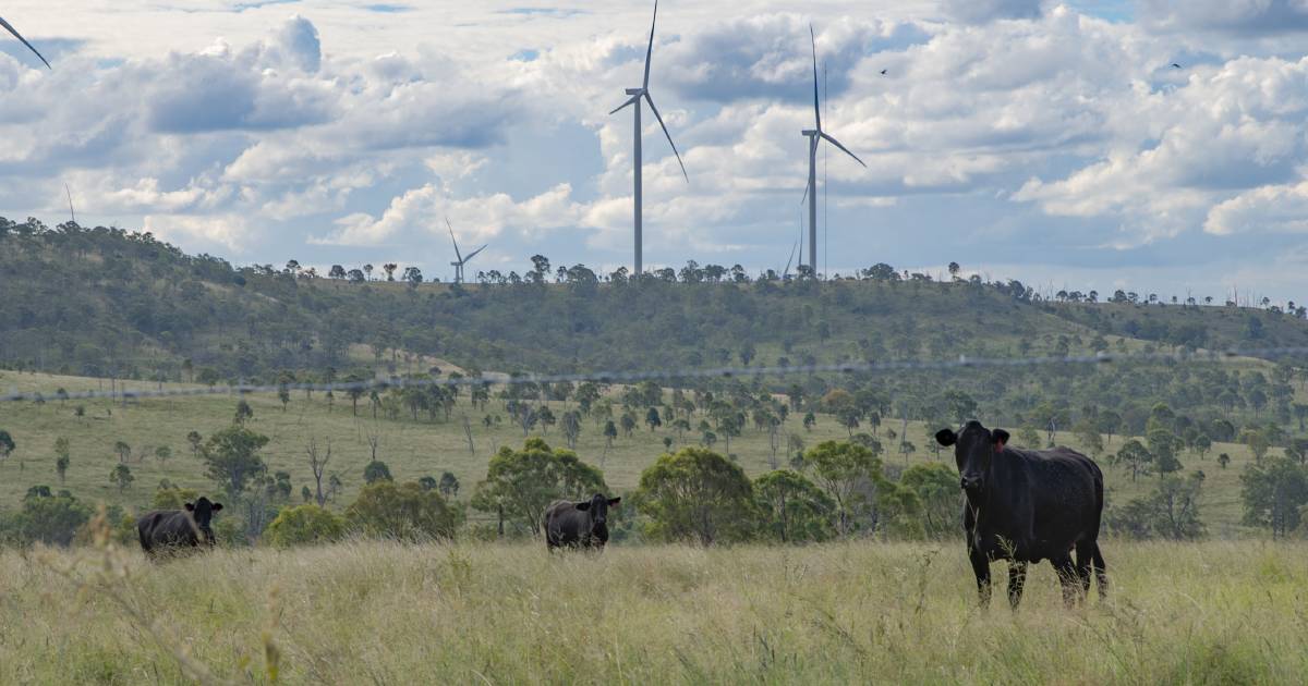 Australian red meat industry not going to meet 2030 carbon neutral target