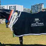 Mulloorie Merino stud recognised as 2023 Rabobank Australian Supreme Merino ram | The Land