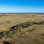 Top Ticoba sires bound for commercial herds across the state