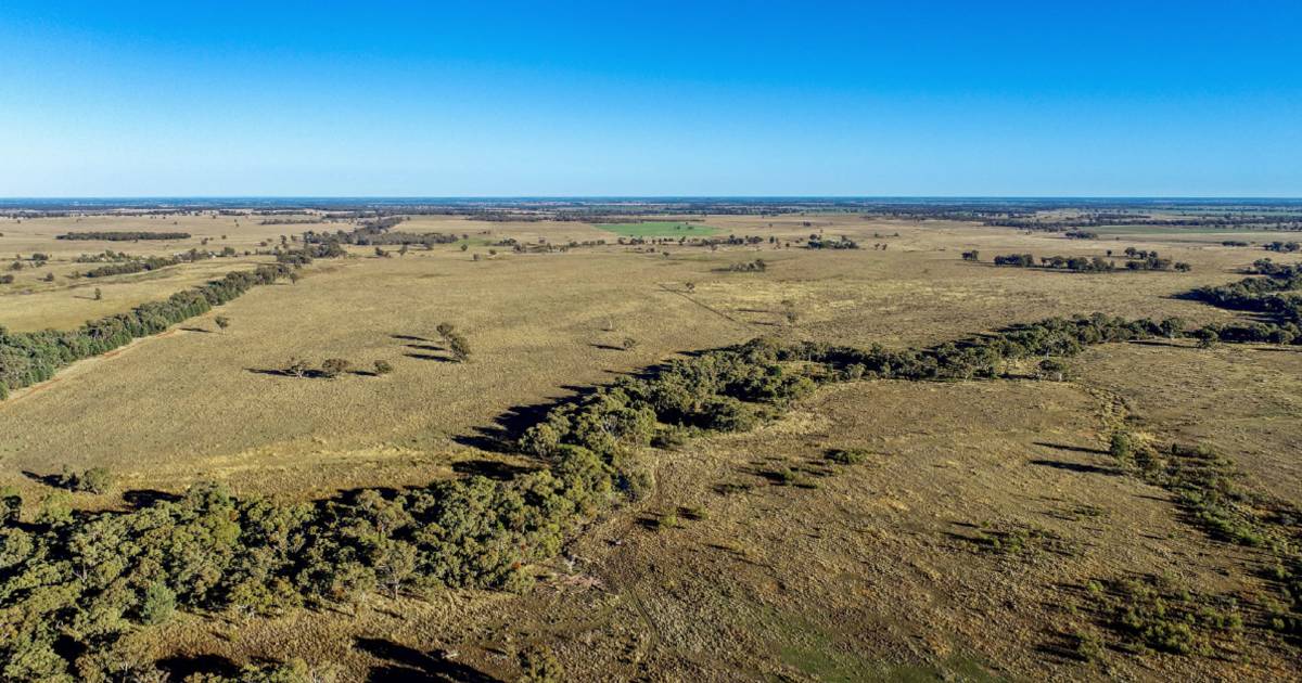 Negotiations continue on well watered cattle country | Video