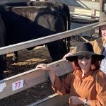 Bulk buyers jump to secure bulls at 2023 Hazeldean Northern Performance sale