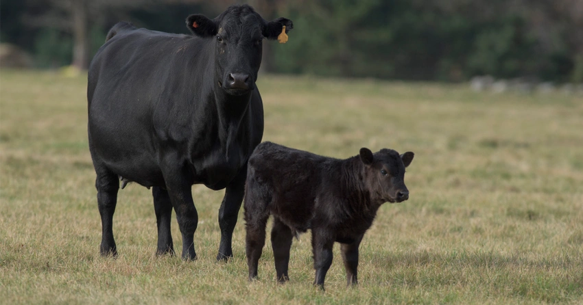 Farm Progress America, September 25, 2023