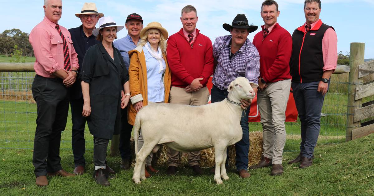 Garnett SheepMaster stud is up for sale | Farm Weekly