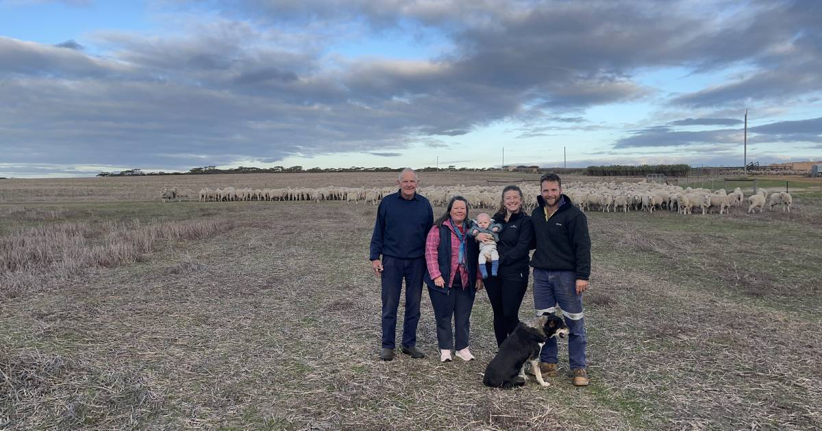 Chemical free farming has its challenges and rewards for Leske family in Esperance