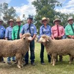 Manunda Poll Merino sale at South Tammin tops at $12,500 | Farm Weekly