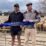 Palgrove’s first annual bull sale held at Chinchilla heralded a success | Queensland Country Life