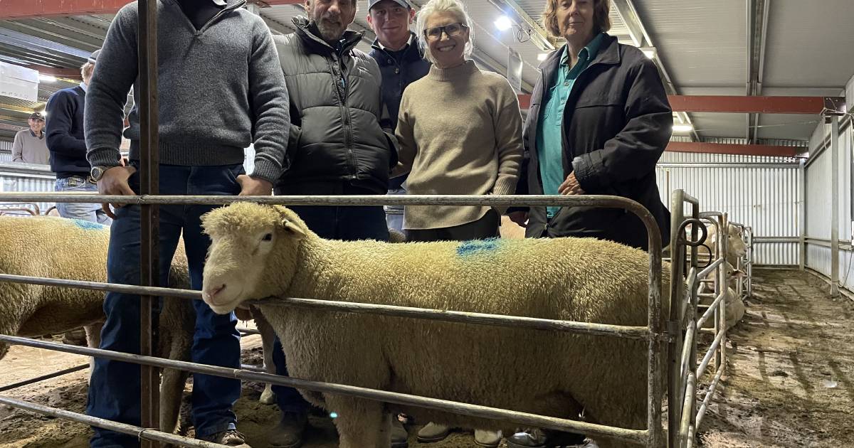 Hermes' new owner a renowned sheep consultant