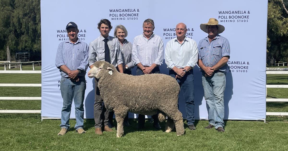 Studs partner up to purchase top-priced ram from Wanganella and Poll Boonoke sale