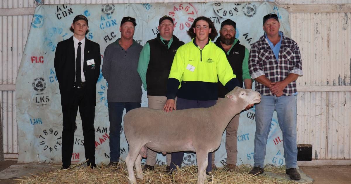 WA College of Agriculture Cunderdin and East Avon UltraWhites sell at Open Day | Farm Weekly