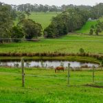 LIfeFlight Roma benefits from donation of road train of hay | Queensland Country Life