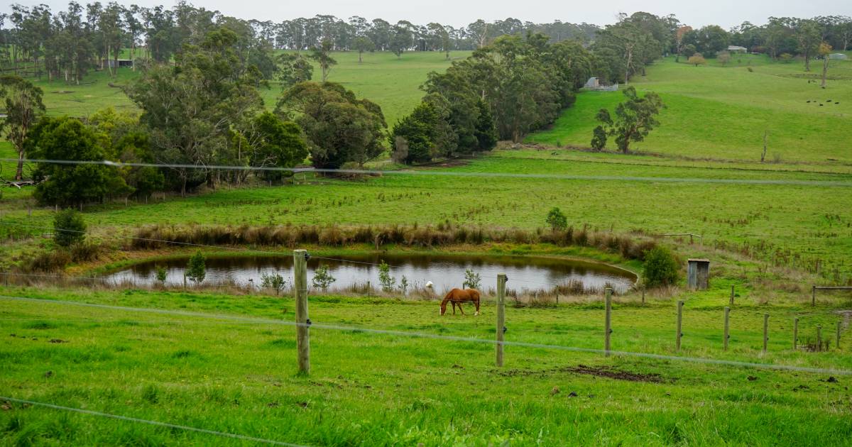 UNSW study reveals potential for farm dams as renewables storage | North Queensland Register