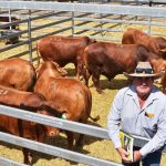 Lack of livestock consultants holding back beef’s climate efforts | Queensland Country Life