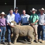 Nuffield Scholar Paula-Lee Pownall from Mandurah-based Grubs Up talks edible crickets | Farm Weekly