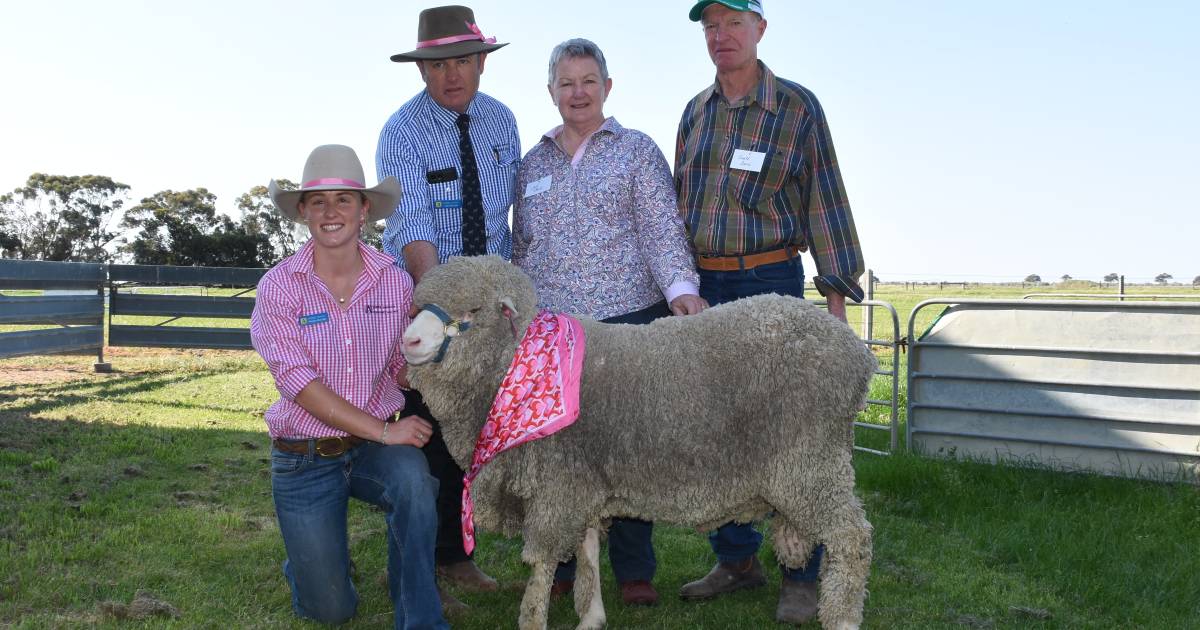 A heartwarming auction for Avenel Merinos