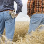 Merino ewes at West Wyalong sold to $160 | The Land