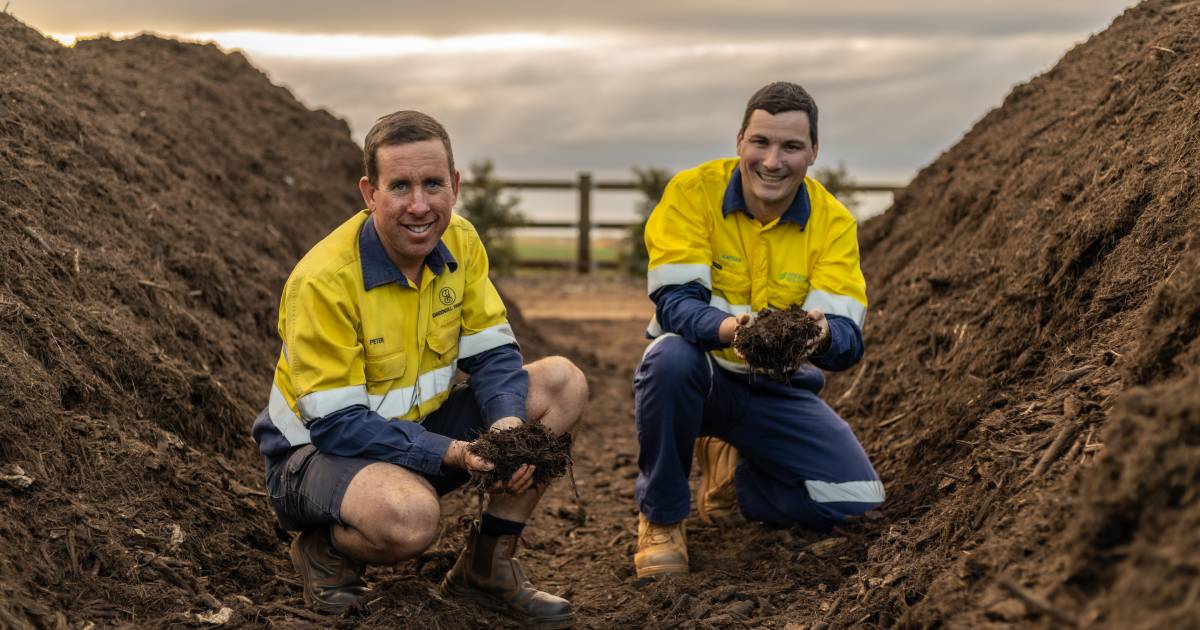 Greensill Farming’s coffee cup compost helps grow its sweet potato crops | The Land