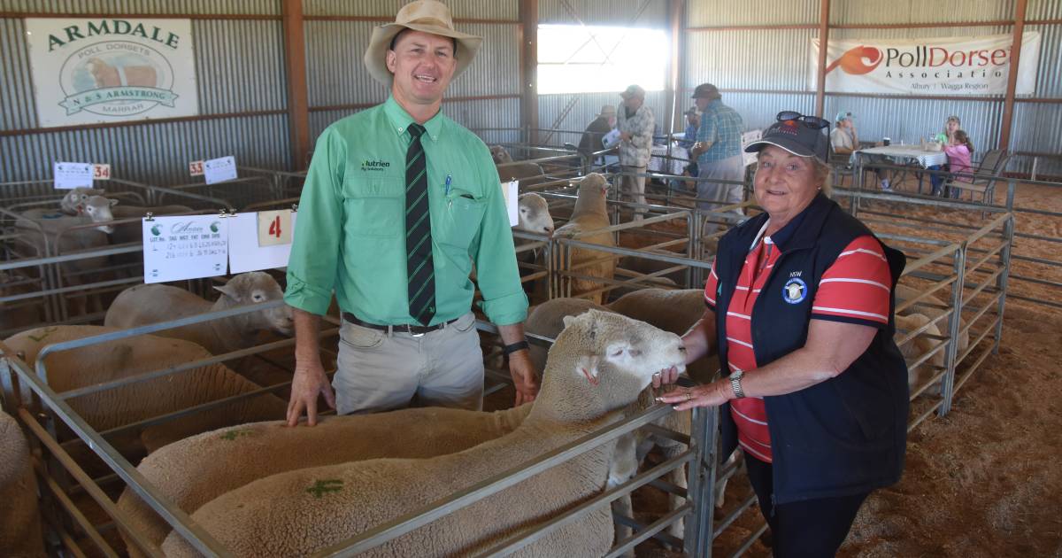 Armdale Poll Dorsets celebrates 85 years of stud breeding