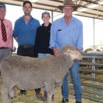 Carabar's top bull heads south to Glen Innes