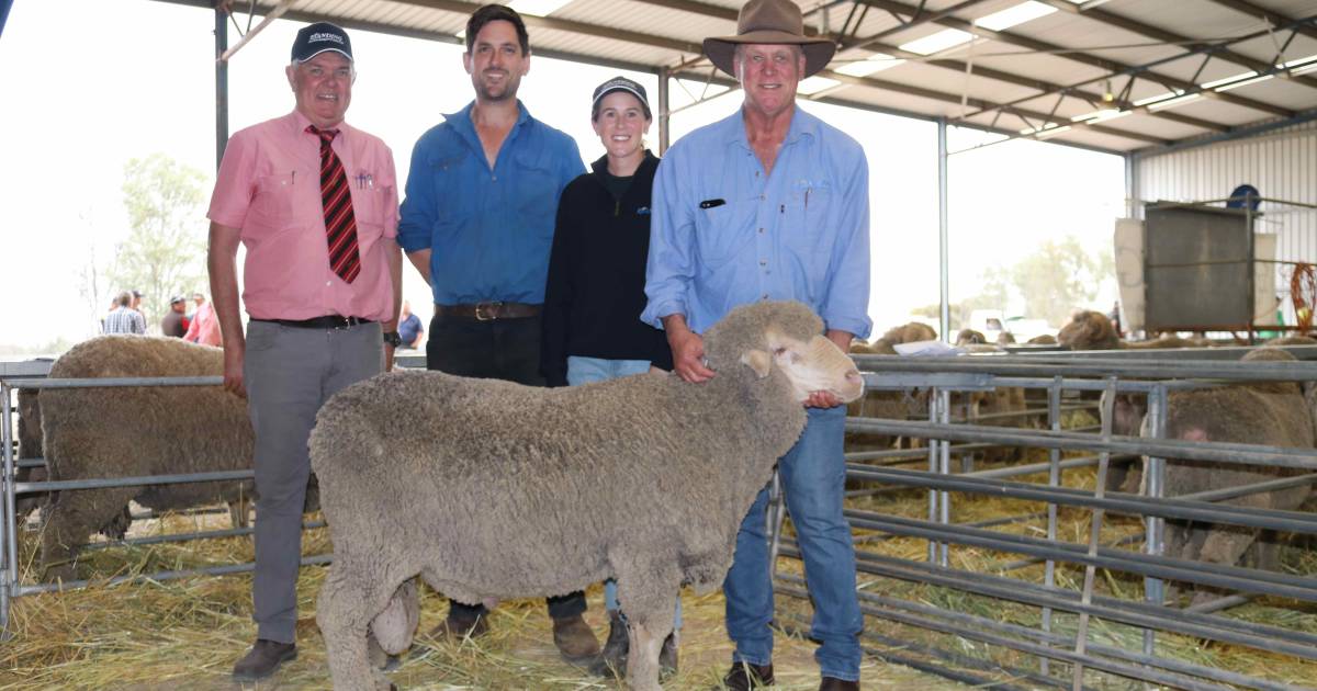 Ejanding Poll Merino, Dowerin ram sale sells top ram to Ludemann family | Farm Weekly