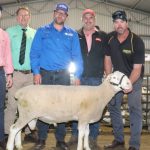 Manjimup cattle saleyards up for grabs | Farm Weekly