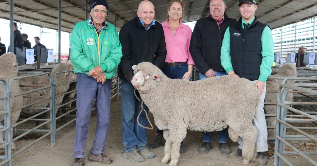 Arra-dale, Sandown genetics tops at $3100