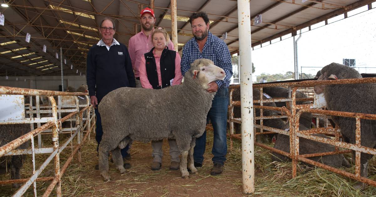 Bolt family stud Claypans, Corrigin finds Poll Merino buyer in Victoria | Farm Weekly