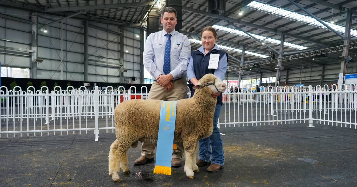 Year 10 student has high hopes of starting her own stud, after winning supreme