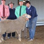 Australian meat judging hopefuls take on intensive training