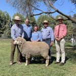 Buyers sought carcase quality at Red Hill Aussie White sale