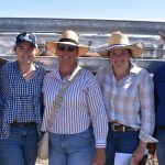 Nepowie Poll Merino sire tops $6000 | Farm Weekly