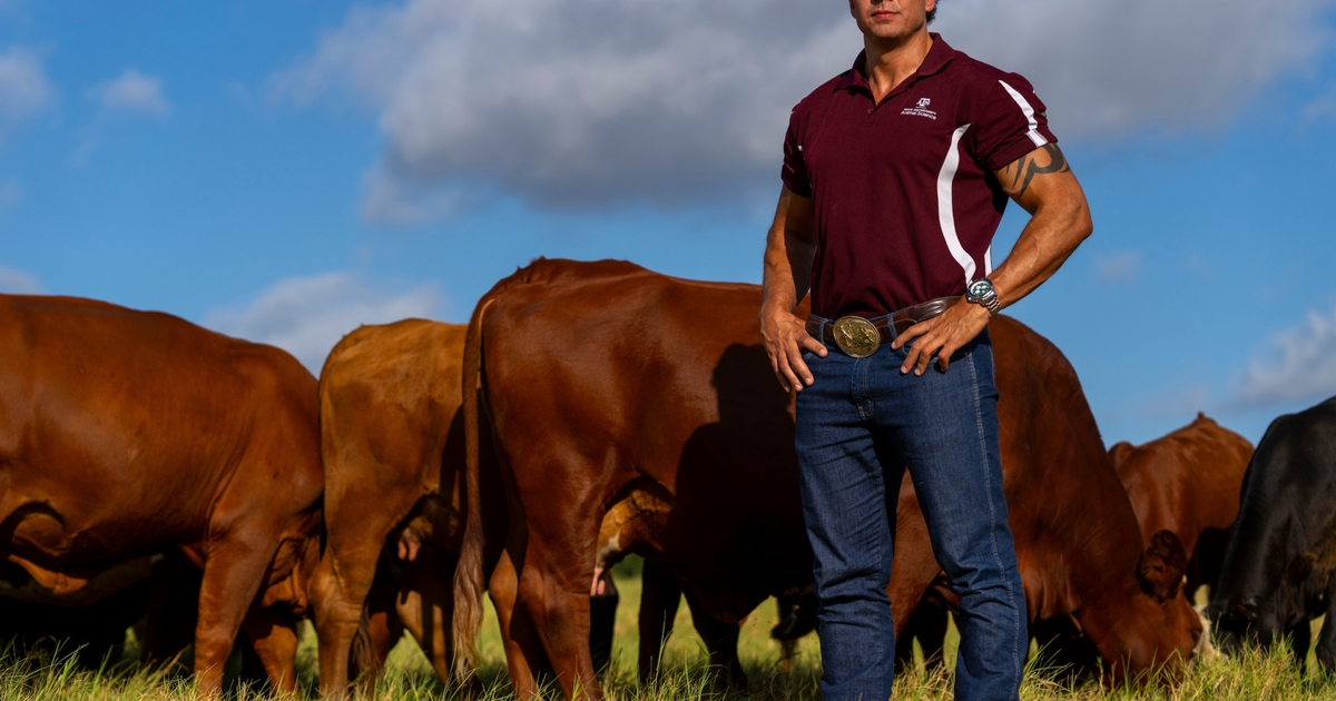 Texas A&M AgriLife extends beef cattle expertise internationally