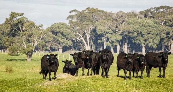 Study of 130 farms hopes to find a baseline for “natural capital condition”