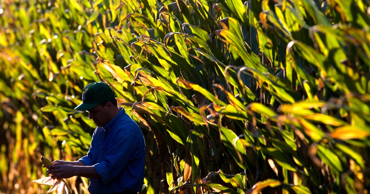 Farmer sentiment notably lower in August