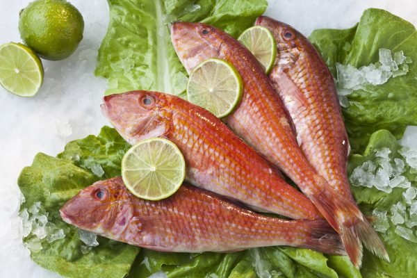 Red Mullet: The beauties of the sea, and the one intractable rule for those looking to cook them