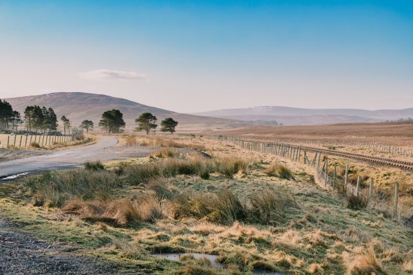 Fancy a property with a difference? 7,000 acres of peat bog have come up for sale in Caithness