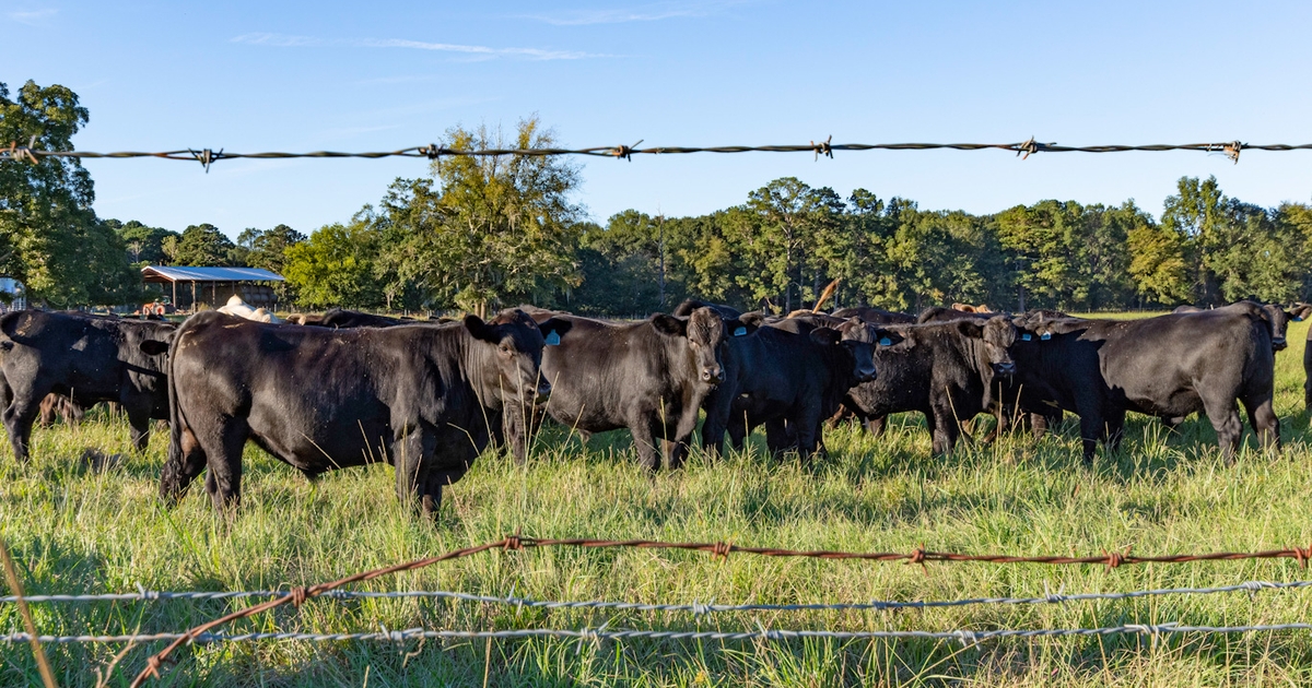 Be one step ahead of respiratory disease this fall