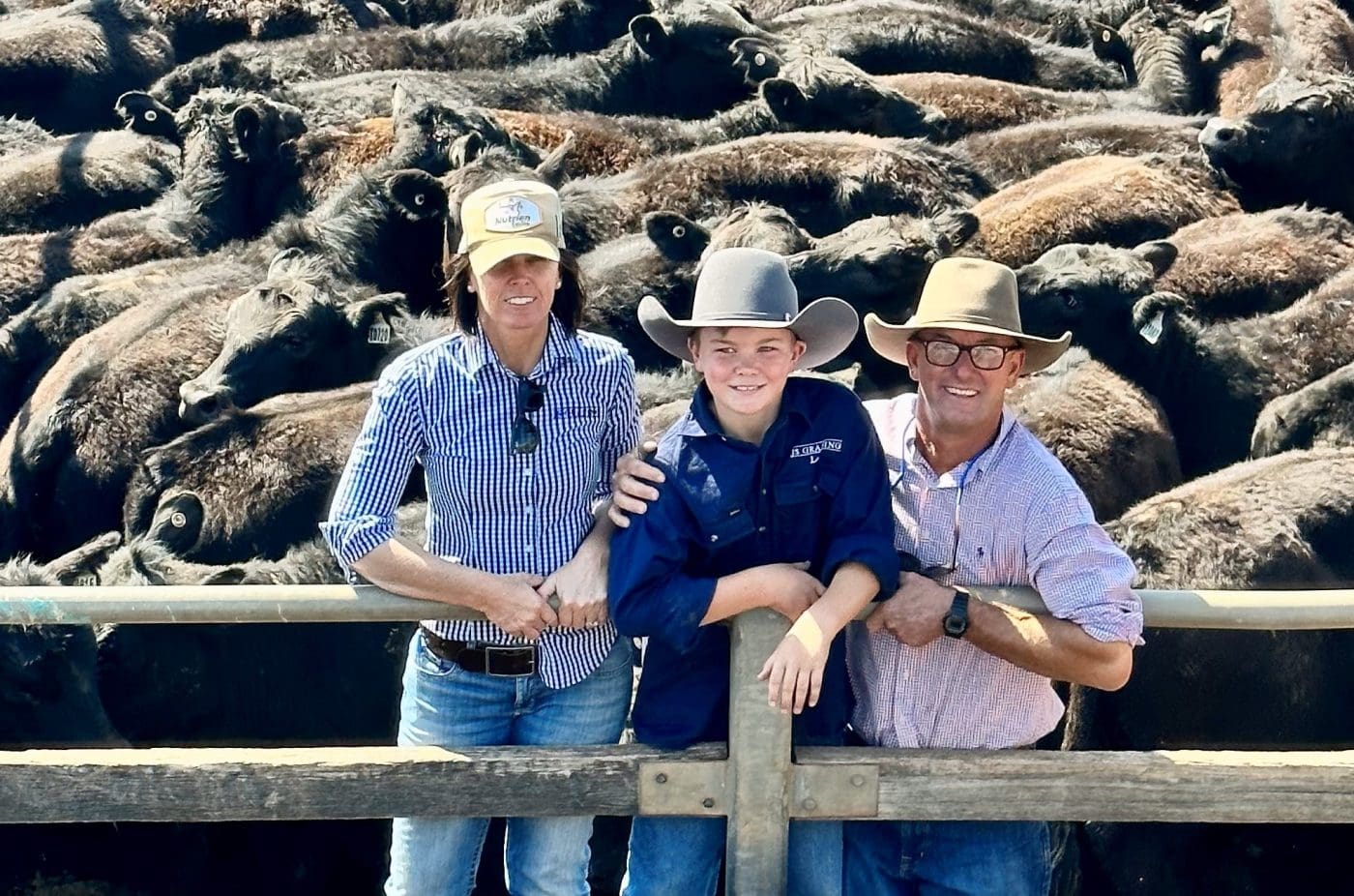 Genetic investment pays off as Southern Qld heifers top at $1900