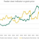 Northern Stud Breeders’ Association ram sale: Walkindyer, Mulga Springs and Terara | Farm Weekly