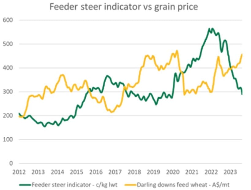 Shifting trends in feeder prices, grain costs, and days-on-feed