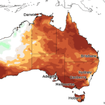 Why cattle losses in this year's Gulf Country floods were less than in 2019