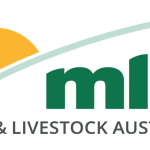 Silverdale weaner steers rise by up to 150c/kg