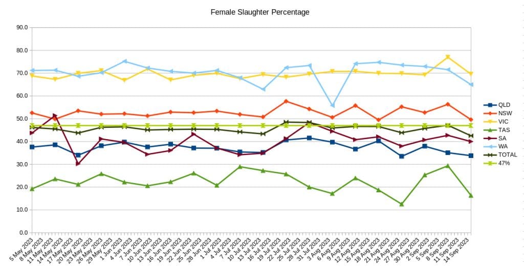 A deep-dive into Australia’s female slaughter ratio