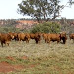 'Farmers on the frontline of climate change': Ag Minister Watt