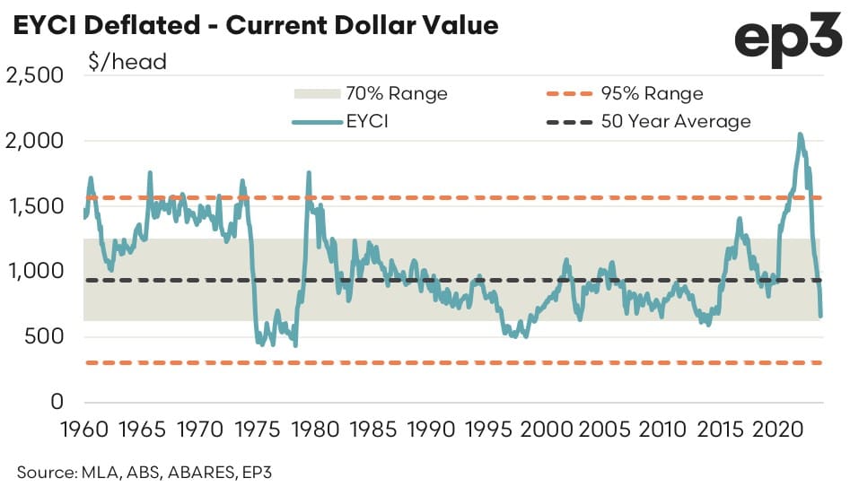 How does the current cattle market decline compare with earlier cycles?