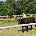 Wray Ranch receives national environmental stewardship award