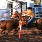 Fat cattle and weaner heifers stronger at Eidsvold