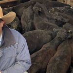 Ken May’s stallion, Axle, jags a first and second at Dalby Stockman’s Challenge & Campdraft | Queensland Country Life