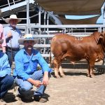 Volunteers, an invaluable force driving rural and regional events